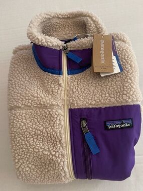 Patagonia Classic Retro-x Vest